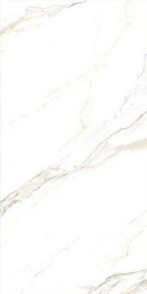 Qiangsheng 612AC005