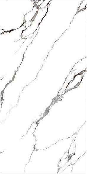 Qiangsheng 612QS001