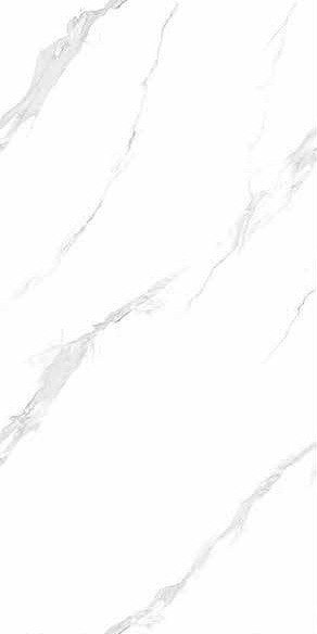 Qiangsheng 612QS006
