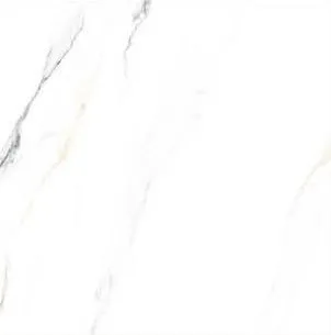 ACE 60AC009