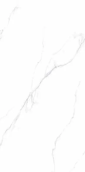 Qiangsheng 612QS003